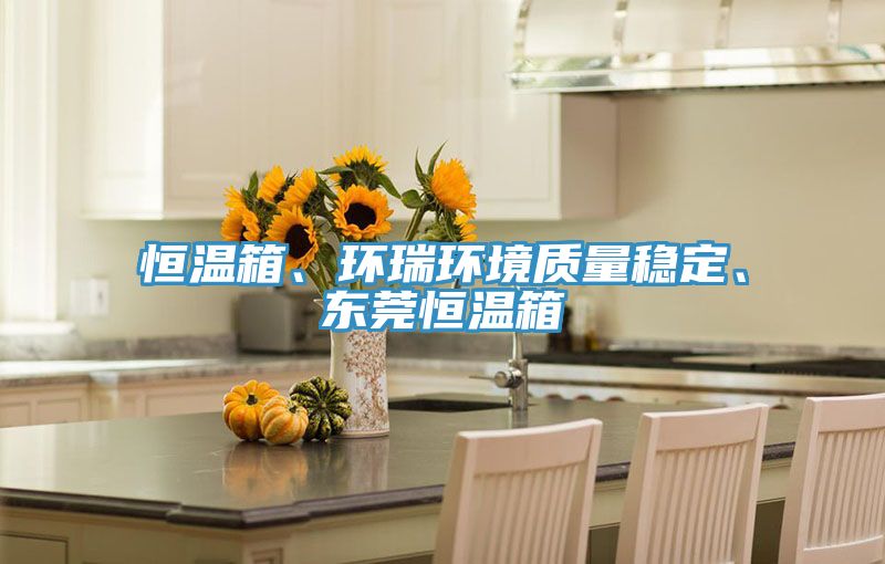 恒溫箱、環(huán)瑞環(huán)境質(zhì)量穩(wěn)定、東莞恒溫箱