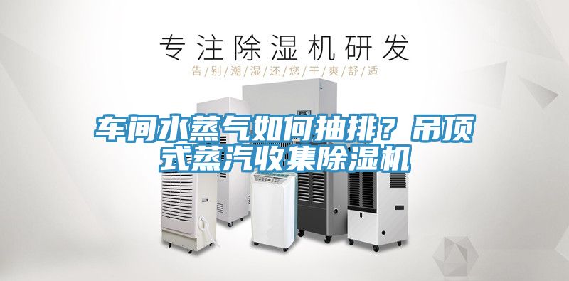 車間水蒸氣如何抽排？吊頂式蒸汽收集除濕機
