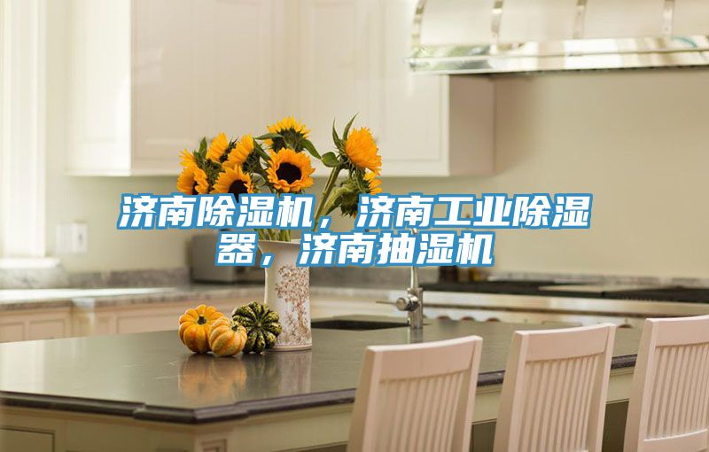 濟南除濕機，濟南工業(yè)除濕器，濟南抽濕機
