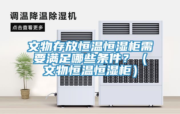 文物存放恒溫恒濕柜需要滿足哪些條件？（文物恒溫恒濕柜）