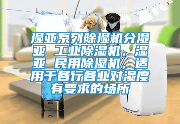 濕亞系列除濕機(jī)分濕亞 工業(yè)除濕機(jī)，濕亞 民用除濕機(jī)，適用于各行各業(yè)對濕度有要求的場所