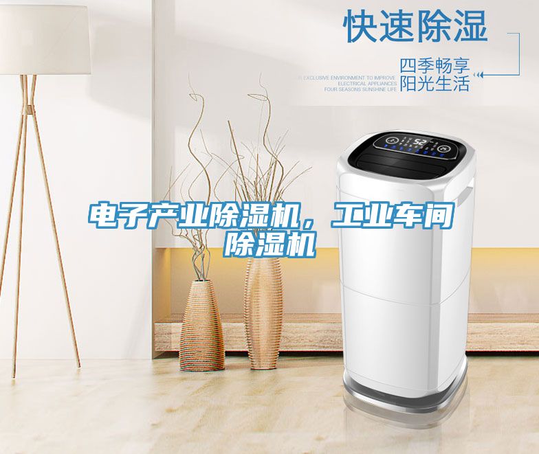 電子產(chǎn)業(yè)除濕機(jī)，工業(yè)車間除濕機(jī)