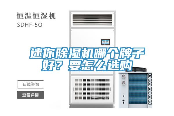 迷你除濕機哪個牌子好？要怎么選購