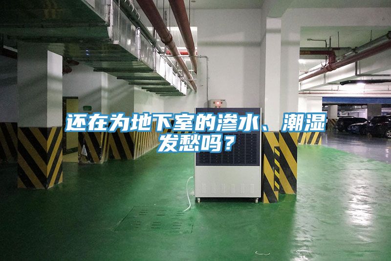 還在為地下室的滲水、潮濕發(fā)愁嗎？