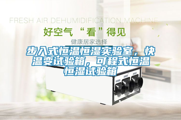 步入式恒溫恒濕實驗室，快溫變試驗箱，可程式恒溫恒濕試驗箱