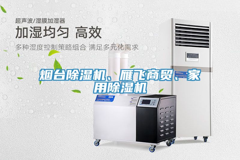 煙臺(tái)除濕機(jī)、雁飛商貿(mào)、家用除濕機(jī)