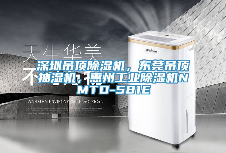 深圳吊頂除濕機，東莞吊頂抽濕機，惠州工業(yè)除濕機NMTD-581E
