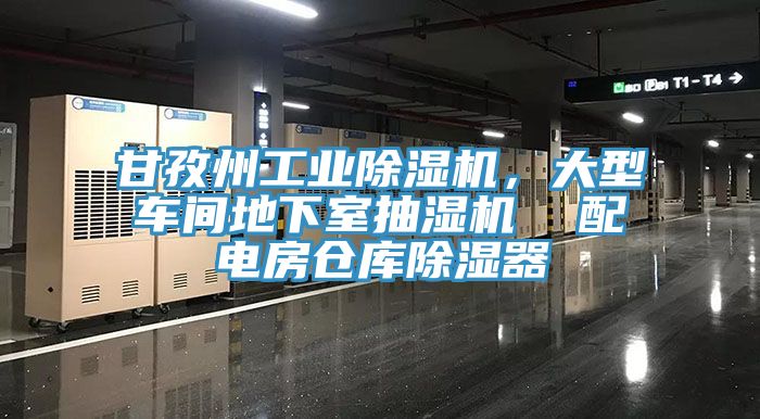 甘孜州工業(yè)除濕機(jī)，大型車間地下室抽濕機(jī)  配電房倉(cāng)庫(kù)除濕器