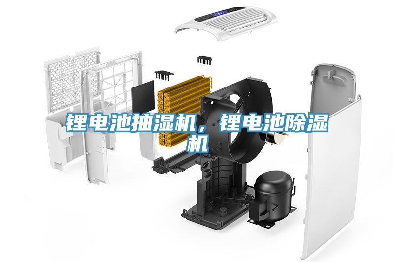 鋰電池抽濕機(jī)，鋰電池除濕機(jī)
