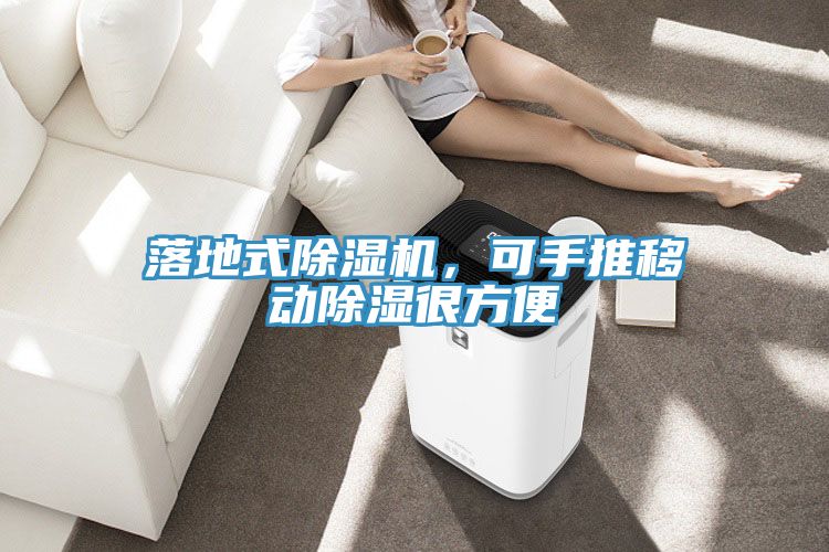 落地式除濕機(jī)，可手推移動除濕很方便