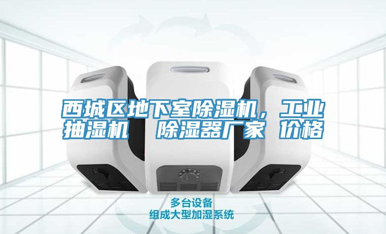 西城區(qū)地下室除濕機(jī)，工業(yè)抽濕機(jī)  除濕器廠家 價(jià)格