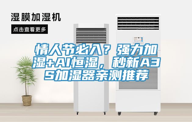 情人節(jié)必入？強(qiáng)力加濕+AI恒濕，秒新A3S加濕器親測推薦