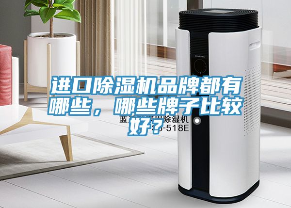 進口除濕機品牌都有哪些，哪些牌子比較好？