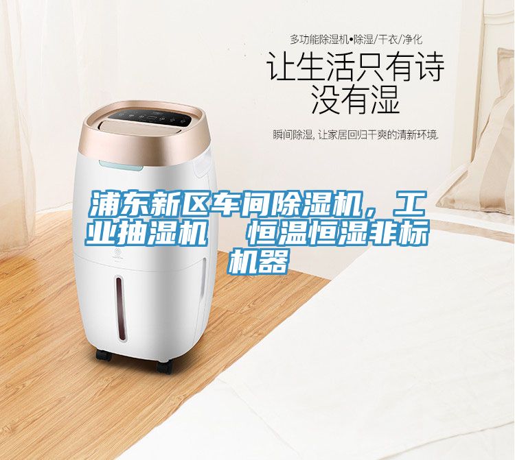 浦東新區(qū)車間除濕機，工業(yè)抽濕機  恒溫恒濕非標機器