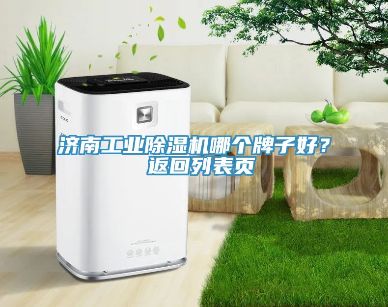 濟南工業(yè)除濕機哪個牌子好？ 返回列表頁