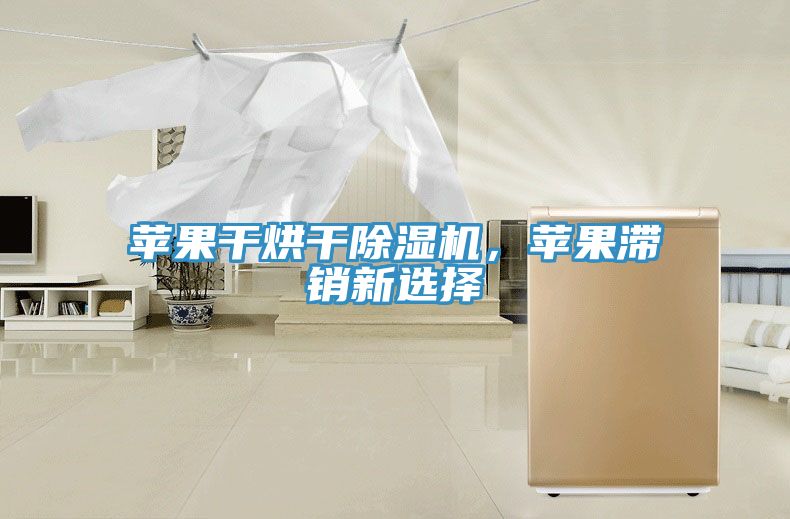 蘋果干烘干除濕機(jī)，蘋果滯銷新選擇