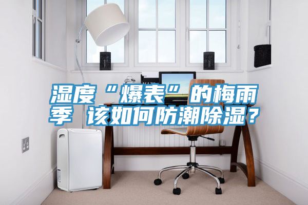 濕度“爆表”的梅雨季 該如何防潮除濕？