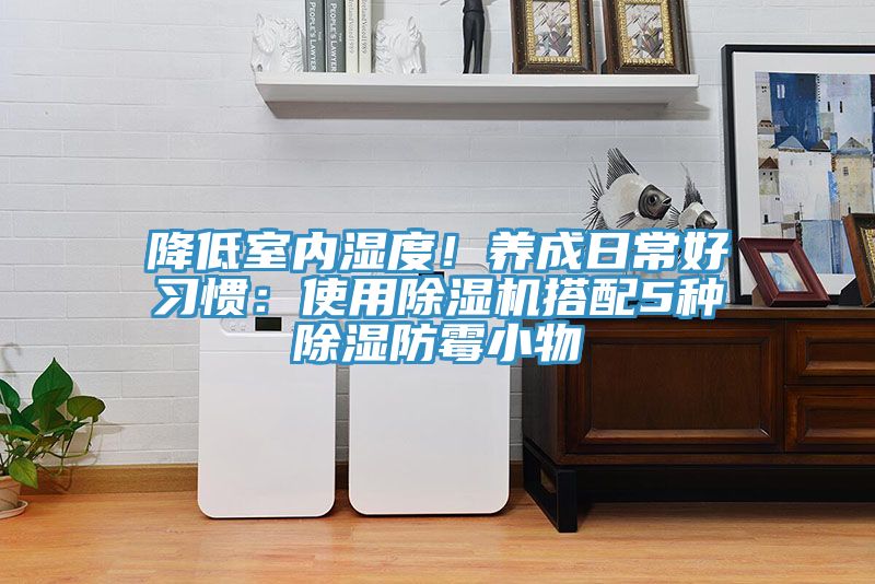 降低室內(nèi)濕度！養(yǎng)成日常好習(xí)慣：使用除濕機(jī)搭配5種除濕防霉小物