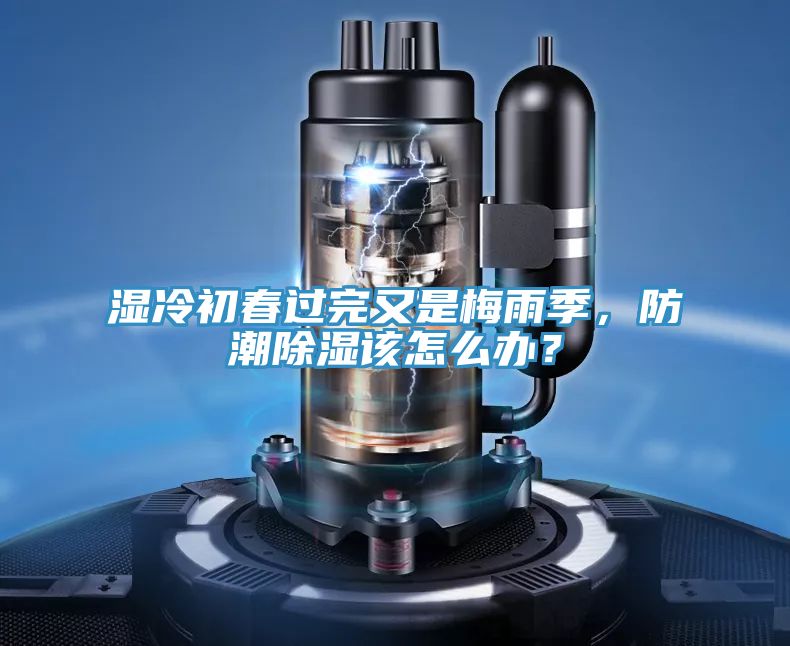 濕冷初春過完又是梅雨季，防潮除濕該怎么辦？