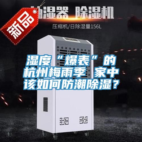 濕度“爆表”的杭州梅雨季 家中該如何防潮除濕？