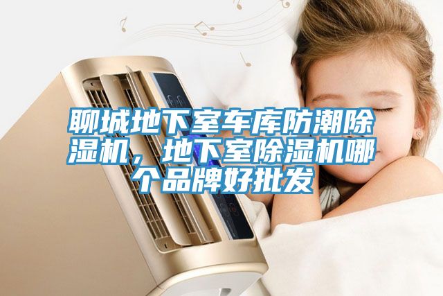 聊城地下室車庫防潮除濕機(jī)，地下室除濕機(jī)哪個(gè)品牌好批發(fā)
