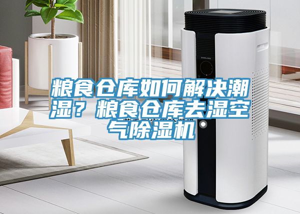 糧食倉(cāng)庫(kù)如何解決潮濕？糧食倉(cāng)庫(kù)去濕空氣除濕機(jī)