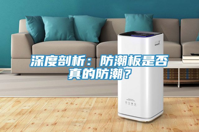 深度剖析：防潮板是否真的防潮？