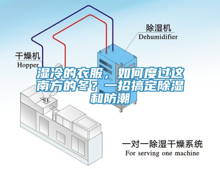 濕冷的衣服，如何度過這南方的冬？一招搞定除濕和防潮