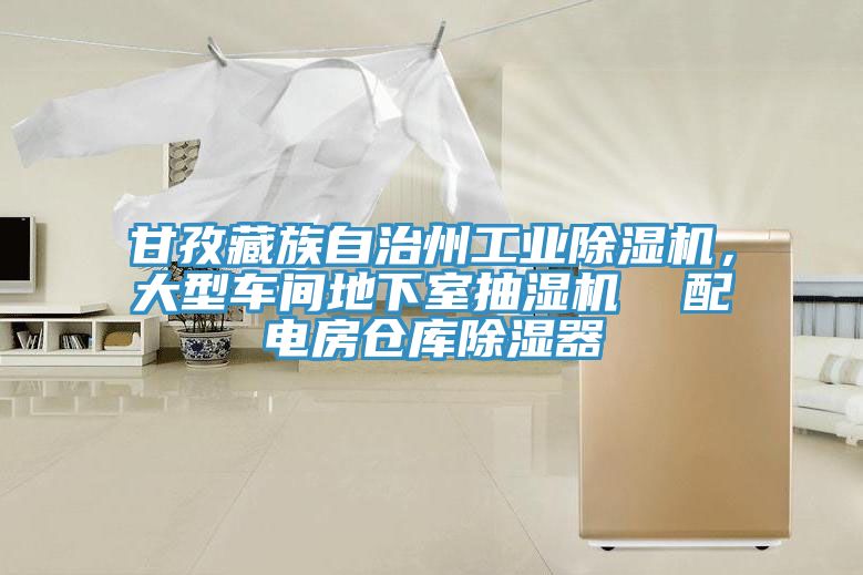 甘孜藏族自治州工業(yè)除濕機(jī)，大型車間地下室抽濕機(jī)  配電房倉(cāng)庫(kù)除濕器