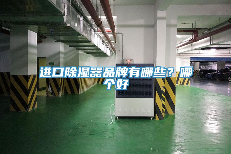 進(jìn)口除濕器品牌有哪些？哪個(gè)好