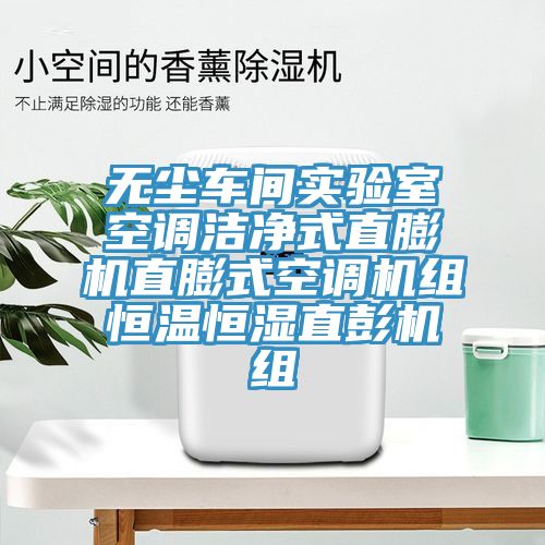 無塵車間實驗室空調(diào)潔凈式直膨機(jī)直膨式空調(diào)機(jī)組恒溫恒濕直彭機(jī)組