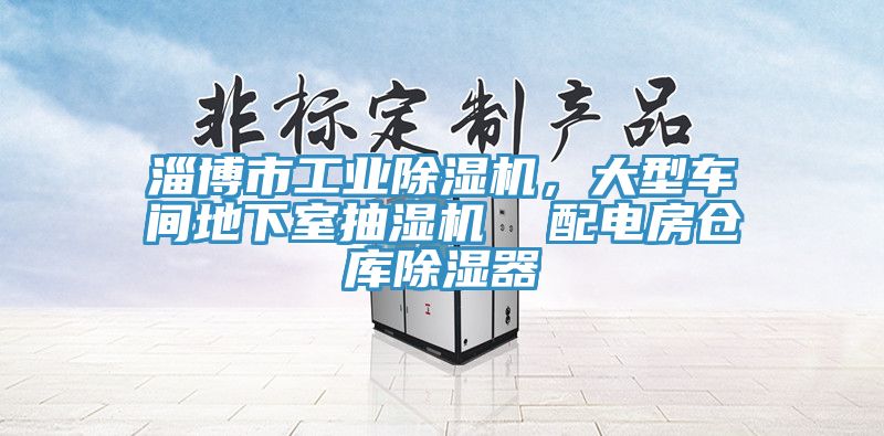 淄博市工業(yè)除濕機，大型車間地下室抽濕機  配電房倉庫除濕器