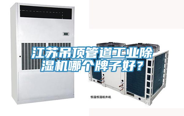 江蘇吊頂管道工業(yè)除濕機(jī)哪個(gè)牌子好？