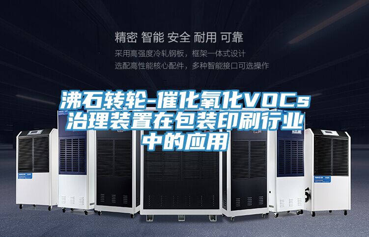 沸石轉(zhuǎn)輪-催化氧化VOCs治理裝置在包裝印刷行業(yè)中的應用