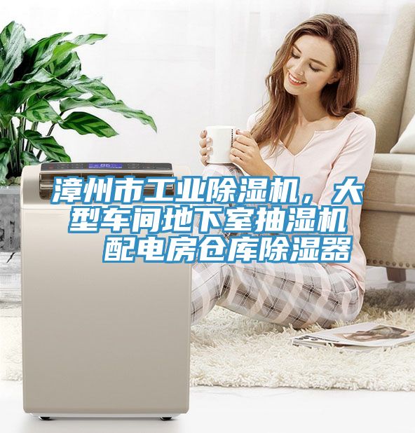 漳州市工業(yè)除濕機(jī)，大型車間地下室抽濕機(jī)  配電房倉庫除濕器
