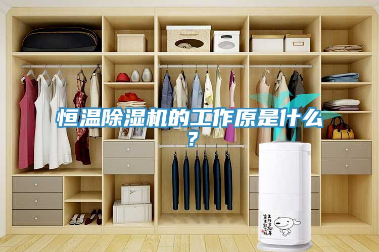 恒溫除濕機的工作原是什么？