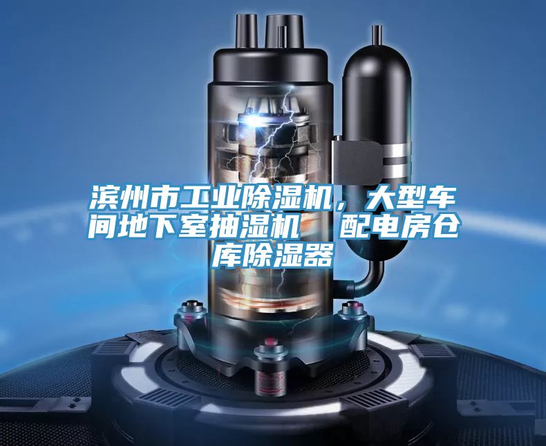 濱州市工業(yè)除濕機(jī)，大型車間地下室抽濕機(jī)  配電房倉(cāng)庫(kù)除濕器