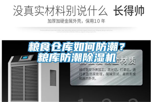 糧食倉(cāng)庫(kù)如何防潮？糧庫(kù)防潮除濕機(jī)