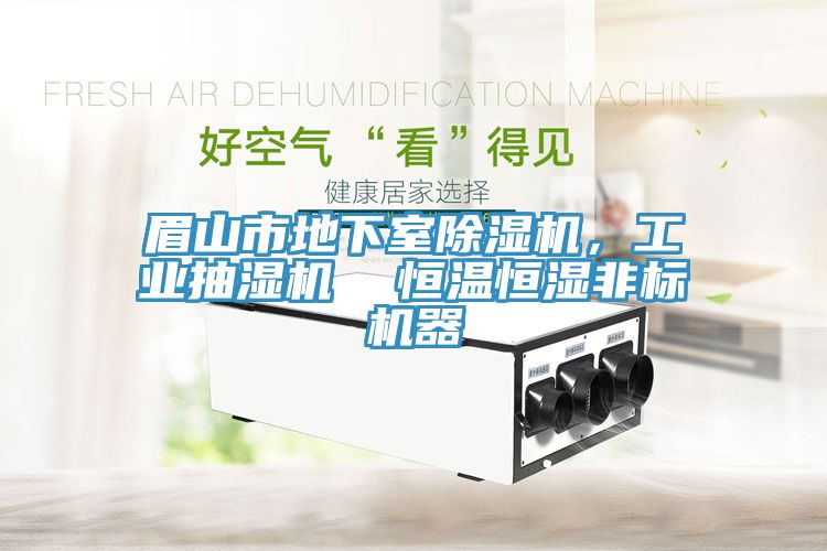 眉山市地下室除濕機(jī)，工業(yè)抽濕機(jī)  恒溫恒濕非標(biāo)機(jī)器