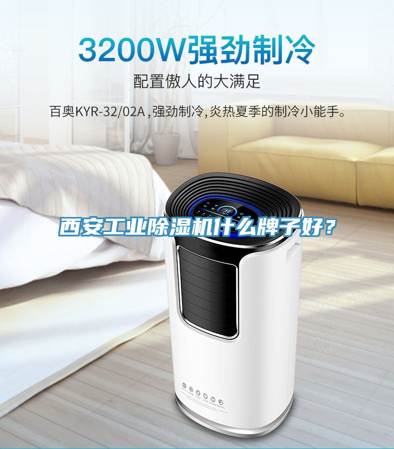 西安工業(yè)除濕機(jī)什么牌子好？