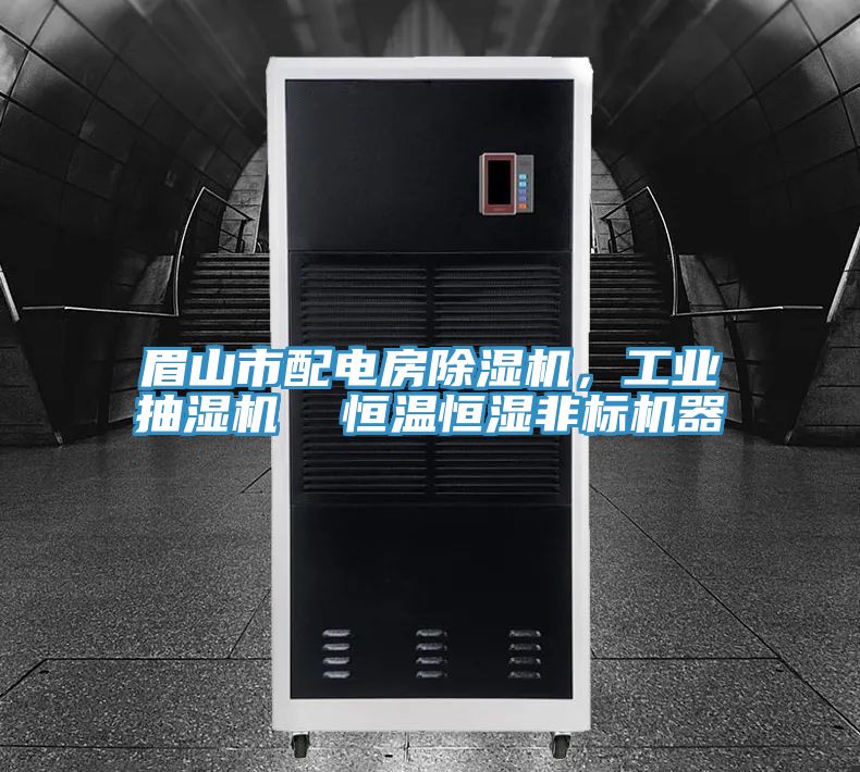 眉山市配電房除濕機(jī)，工業(yè)抽濕機(jī)  恒溫恒濕非標(biāo)機(jī)器