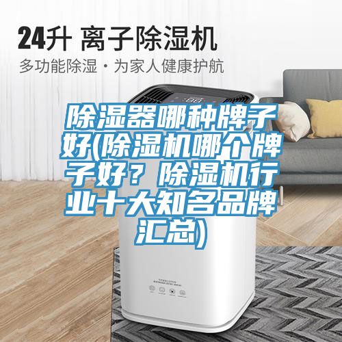 除濕器哪種牌子好(除濕機(jī)哪個(gè)牌子好？除濕機(jī)行業(yè)十大知名品牌匯總)