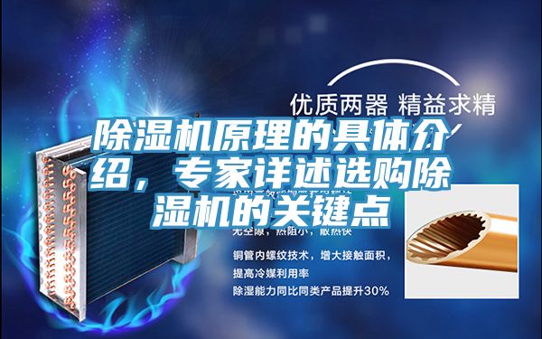 除濕機原理的具體介紹，專家詳述選購除濕機的關鍵點