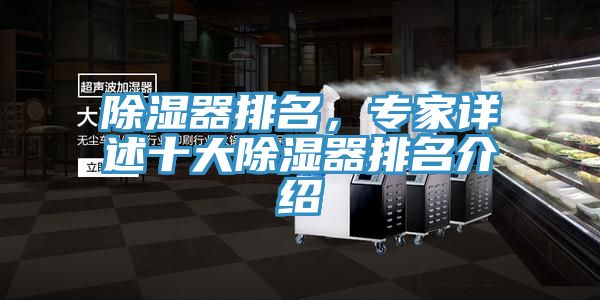 除濕器排名，專家詳述十大除濕器排名介紹