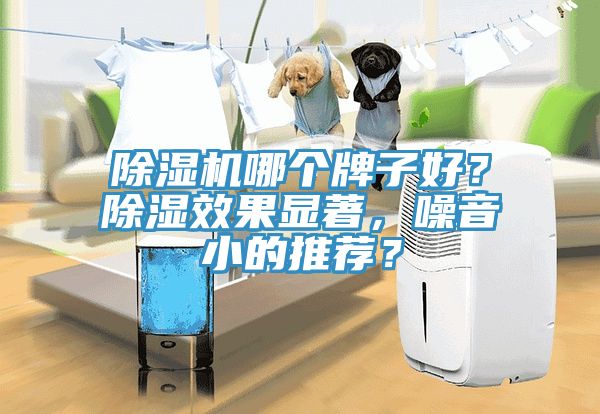 除濕機(jī)哪個(gè)牌子好？除濕效果顯著，噪音小的推薦？