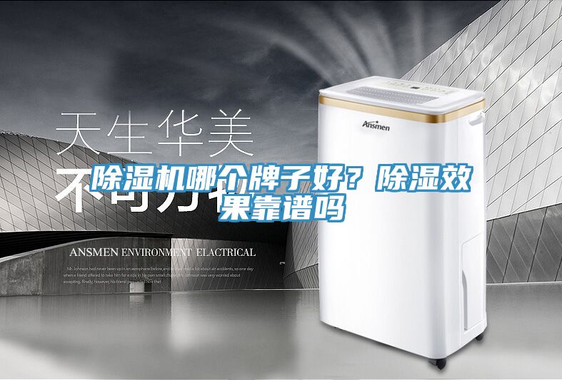 除濕機(jī)哪個牌子好？除濕效果靠譜嗎