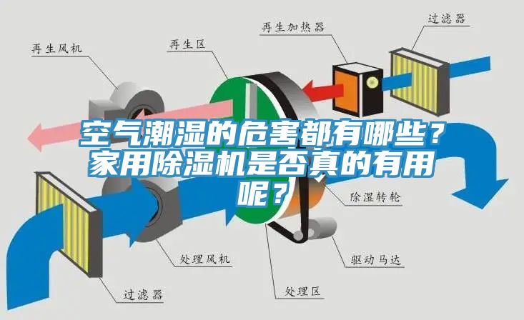 空氣潮濕的危害都有哪些？家用除濕機(jī)是否真的有用呢？