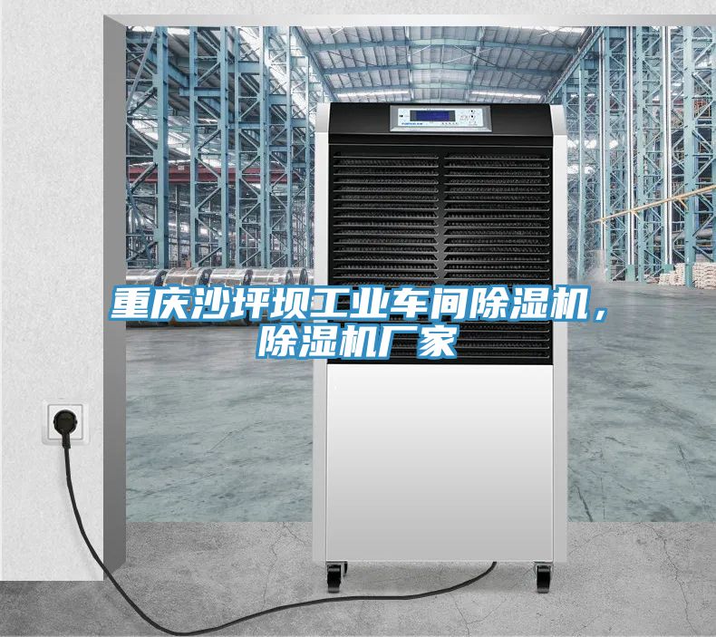 重慶沙坪壩工業(yè)車間除濕機(jī)，除濕機(jī)廠家