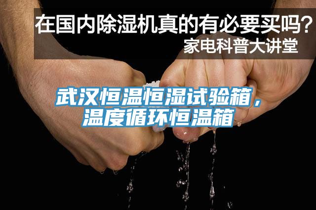武漢恒溫恒濕試驗箱，溫度循環(huán)恒溫箱