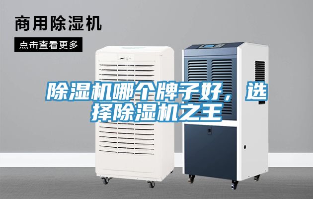 除濕機哪個牌子好，選擇除濕機之王